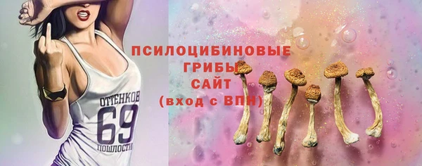 PSILOCYBIN Алзамай