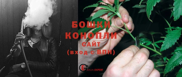 PSILOCYBIN Алзамай