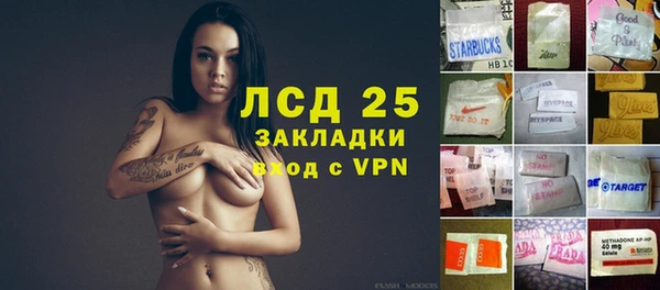 PSILOCYBIN Алзамай