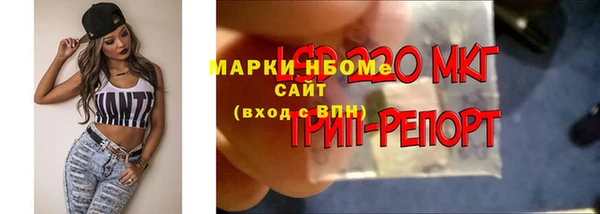 гидропоника Алексеевка