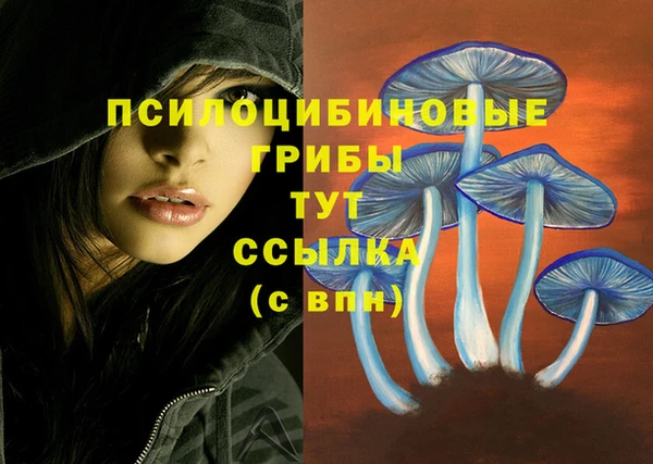 PSILOCYBIN Алзамай