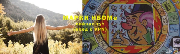 PSILOCYBIN Алзамай