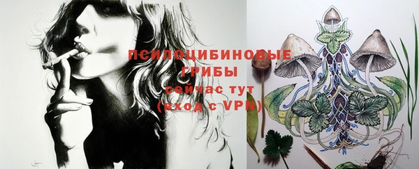 PSILOCYBIN Алзамай