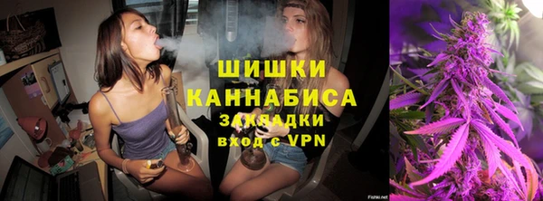 PSILOCYBIN Алзамай