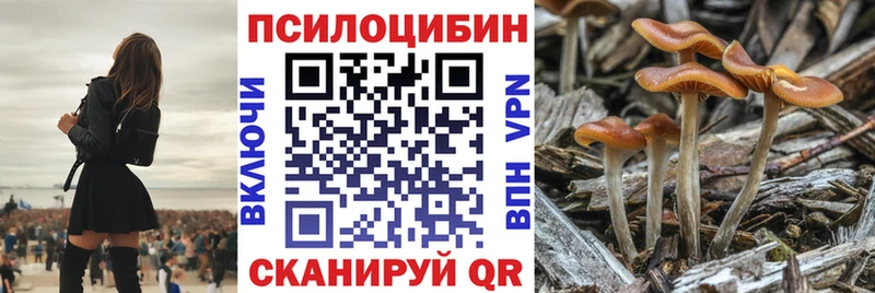 площадка как зайти  Анапа  Галлюциногенные грибы Psilocybe  дарнет шоп 